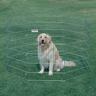 Precision best sale dog fence